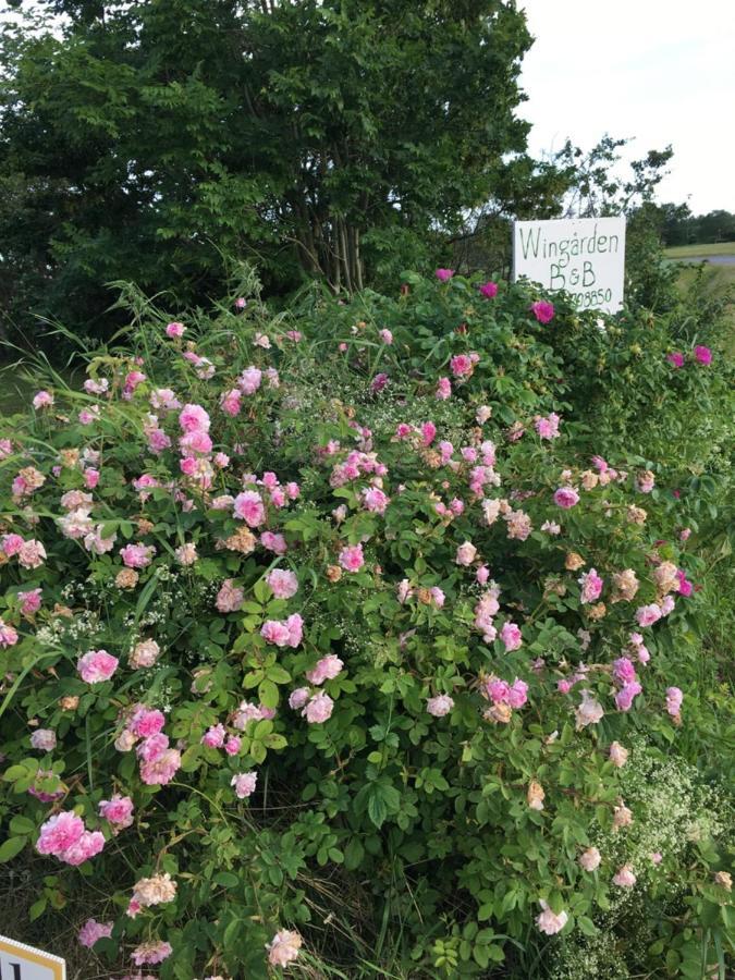 Säffle Wingarden B & B מראה חיצוני תמונה